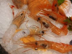 -菊上料理(蜀山银泰百货店)