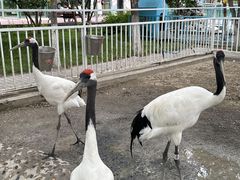 -水上乐园·欢乐世界