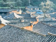 -杨家堂村