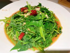 地瓜叶-佬肥猫(国华广场店)