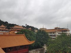 -深圳仙湖植物园