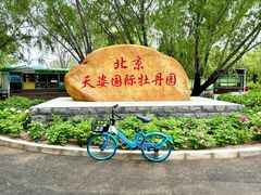 -太阳宫公园