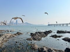 -黑石礁公园