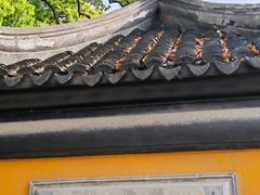 -西园戒幢律寺