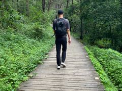 -帽儿山国家森林公园