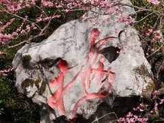 -杭州植物园
