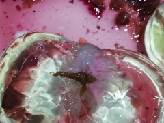 -五条人糖水铺(万达店)