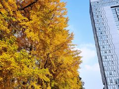 -四川大学(华西校区)