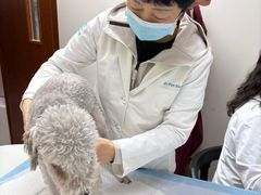 -美联众合动物医院·24h转诊中心