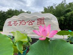 -莲花池公园