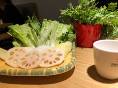 -守柴炉烤鸭(科华中路王府井店)