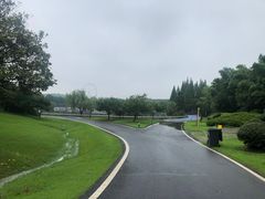 -宜兴龙背山森林公园