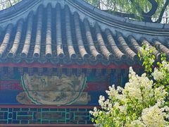-颐和园