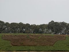 -三星堆博物馆
