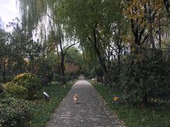 -唐城墙遗址公园