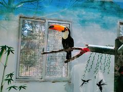 -西霞口神雕山野生动物世界