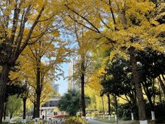 -苏州河梦清园环保主题公园