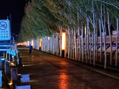 -党河风情线国家水利风景区