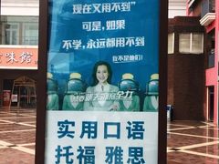 -美联英语(绿宝中心)