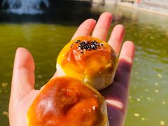 芝士蛋黄酥-北京稻香村(零号店)