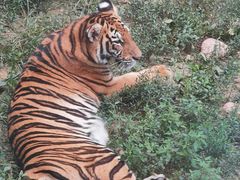 -栾川竹海野生动物园