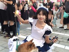 -华谊兄弟（长沙）电影小镇