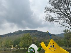 -千年银杏谷文化旅游区