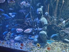 -华夏文旅海洋公园