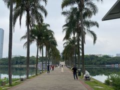 -南宁南湖公园