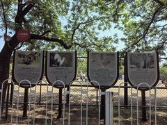 -北京麋鹿生态实验中心