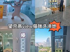 -爱洗澡的猫(望京店)