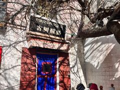 -古树酸奶(八廓南街店)
