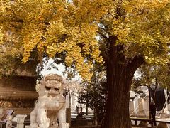 -北京石刻艺术博物馆(五塔寺)