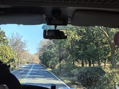 -句容茅山景区