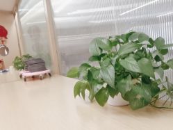 -归位瑜伽＆普拉提馆