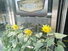 -汤泉良子.足疗按摩.SPA(中关村店)