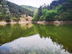 -北宅大永樱桃采摘基地(崂山总部)