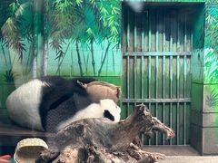 -天津市动物园