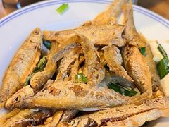 -印象鲵宴·张家界地标美食名片(溪布街店)