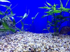 -上海海洋水族馆