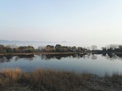 -上海市保健医疗中心(华东疗养院)