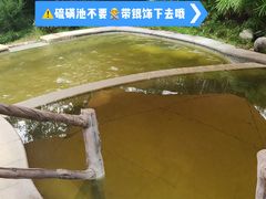 -中铁花水湾温泉酒店(大邑店)