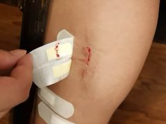 -大锅强·蒸海鲜青岛菜(吾悦广场店)