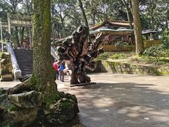 -昆明市金殿名胜区