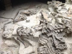 -自贡恐龙博物馆