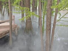 -东湖落雁景区