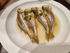清蒸小黄鱼-阿毛饭店(和义路店)