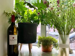 -蝶舍·MAISON PAPILLON