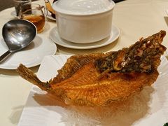 -利苑酒家(华熙国际店)