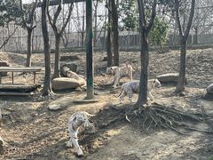 -常州淹城野生动物世界